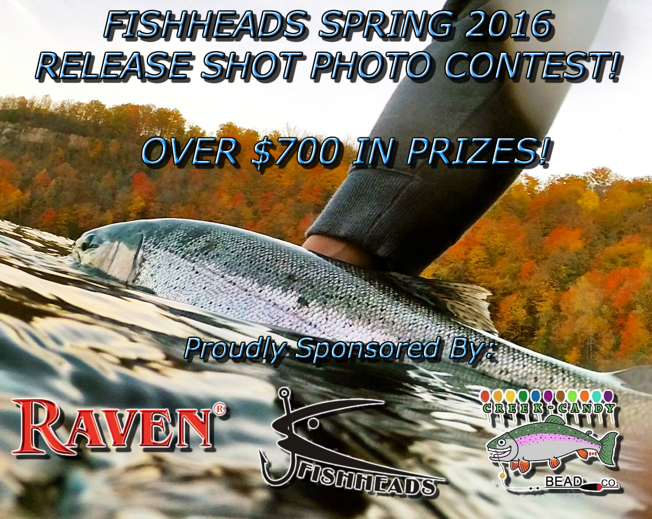 spring5.jpg spring5.jpg